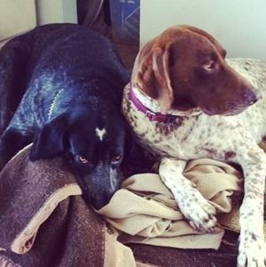 Meet your Posher, Adam